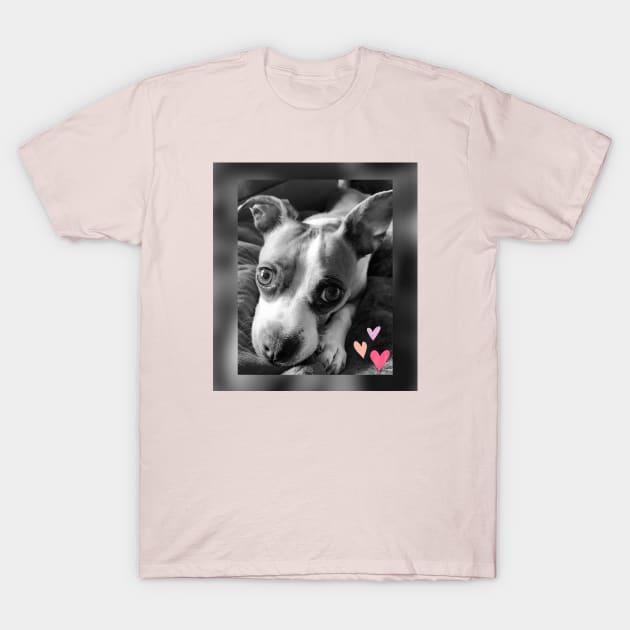 Puppy Love T-Shirt by Illuminations